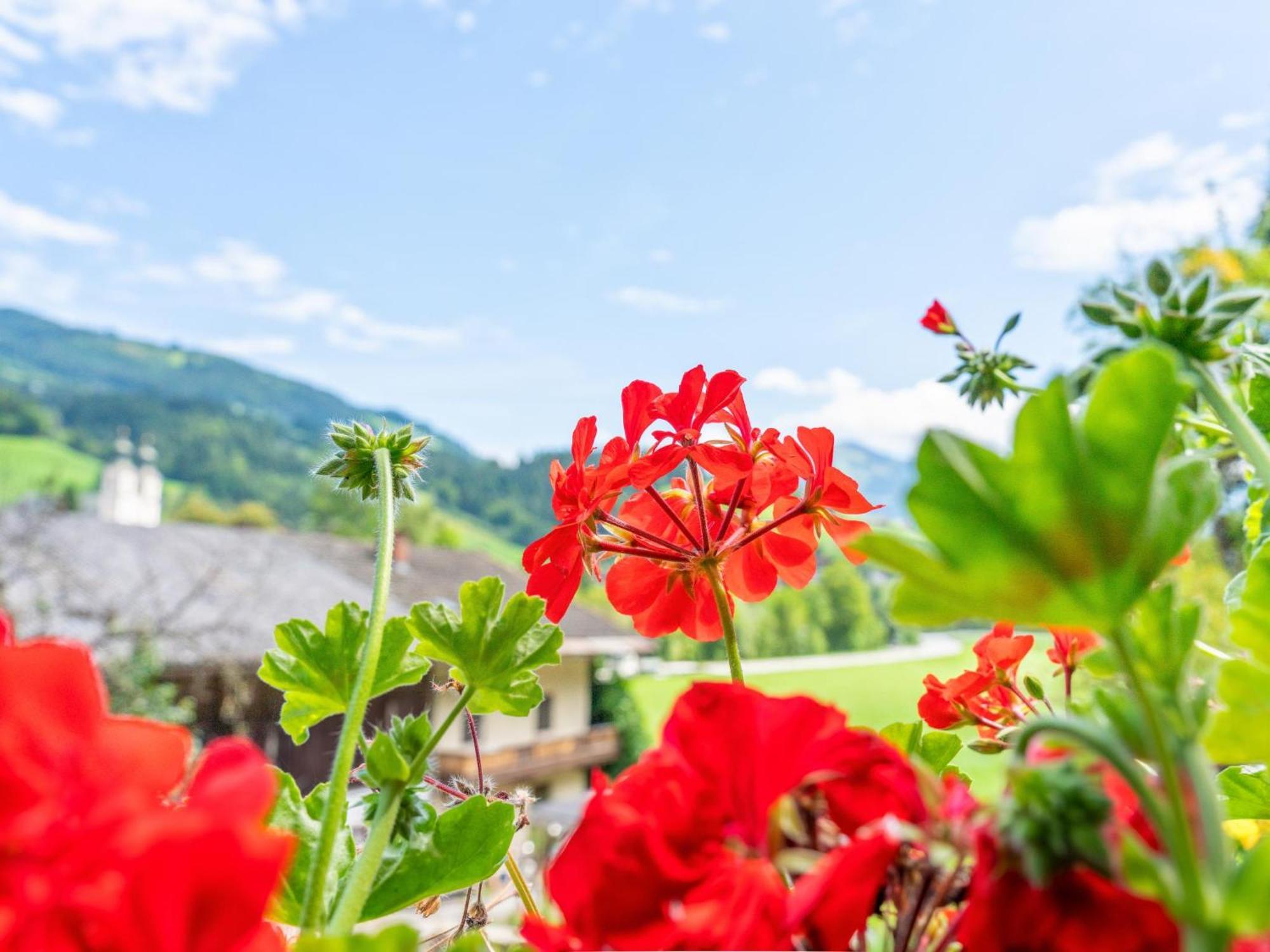 Alte Grafenmuehle Villa Hopfgarten im Brixental Eksteriør billede