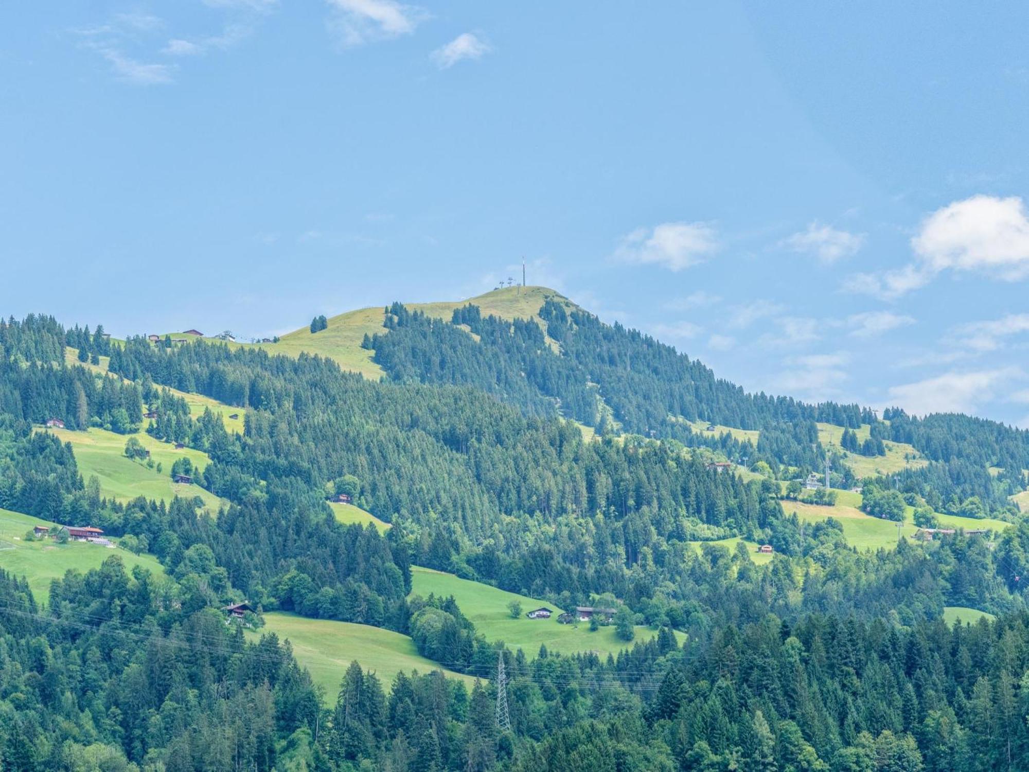 Alte Grafenmuehle Villa Hopfgarten im Brixental Eksteriør billede