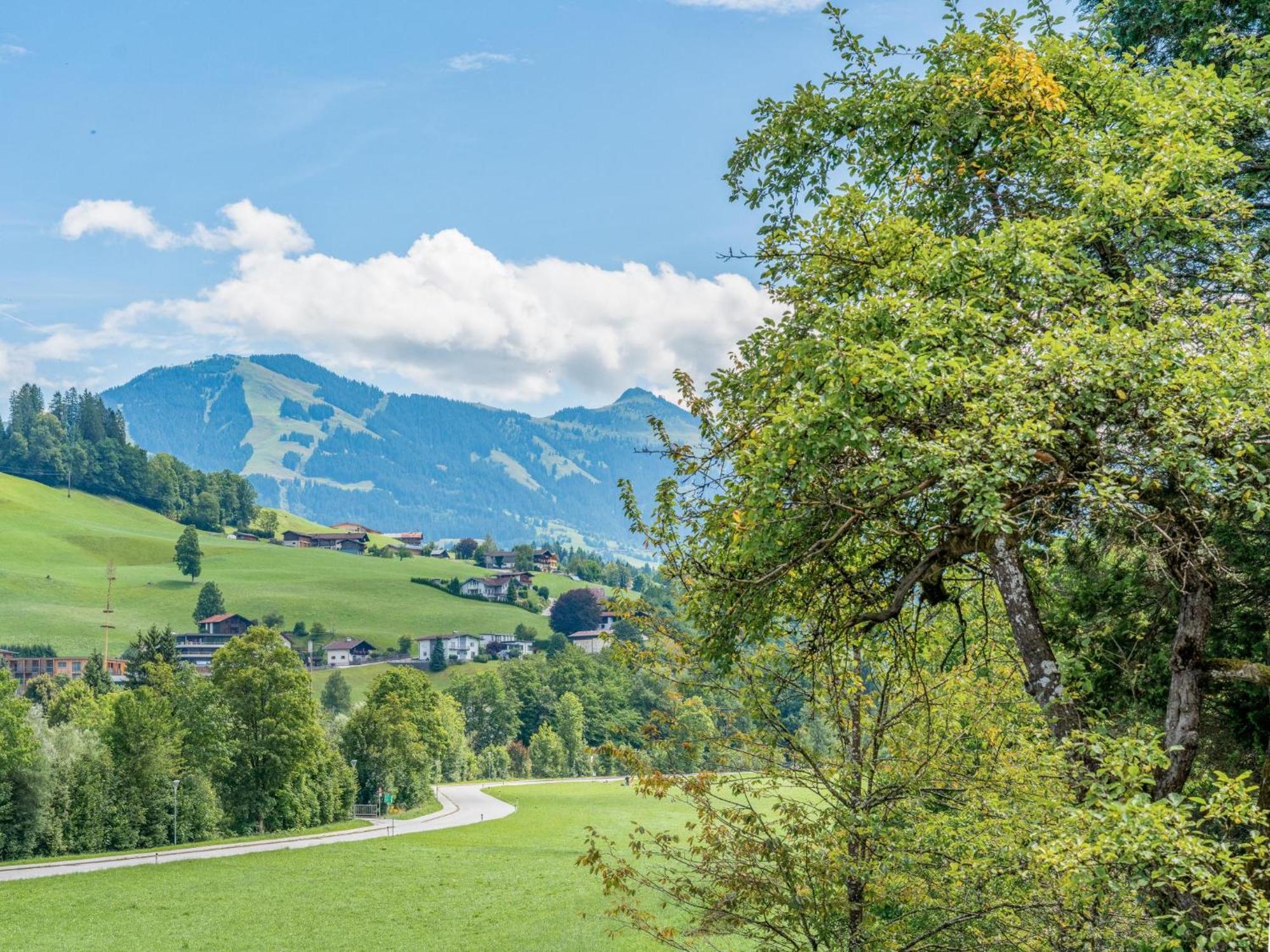 Alte Grafenmuehle Villa Hopfgarten im Brixental Eksteriør billede