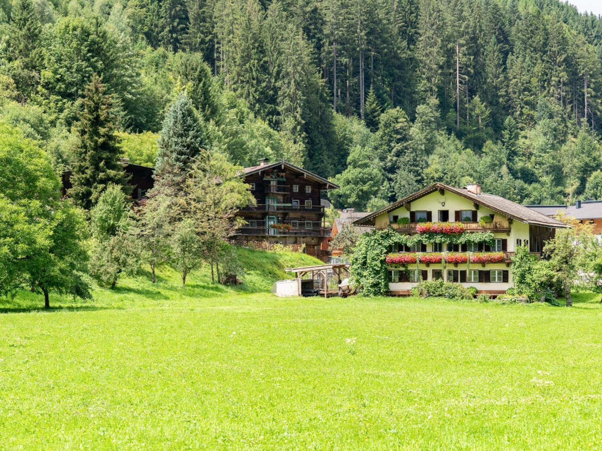 Alte Grafenmuehle Villa Hopfgarten im Brixental Eksteriør billede